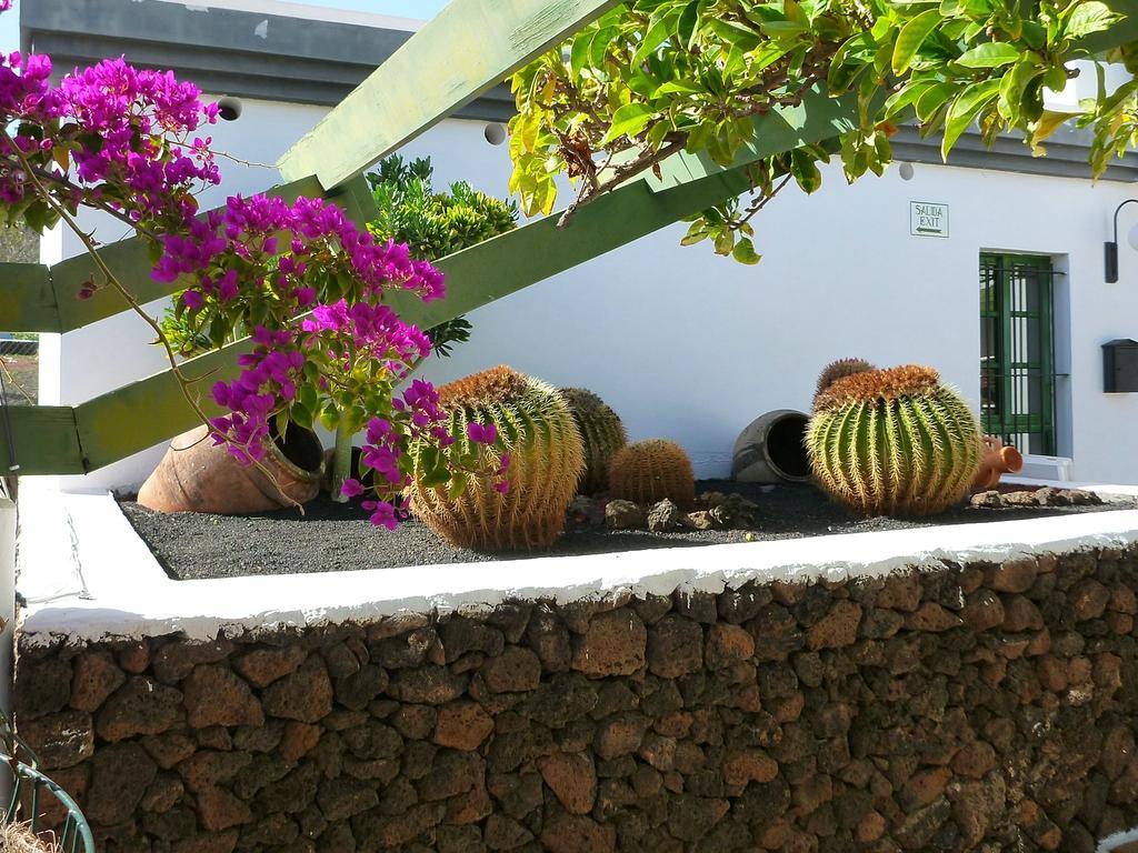 Apartamentos Guacimeta Matagorda  Luaran gambar
