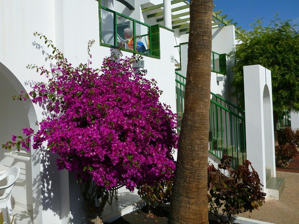 Apartamentos Guacimeta Matagorda  Luaran gambar